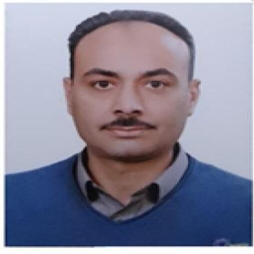 أ.د / حربي محمد سرور