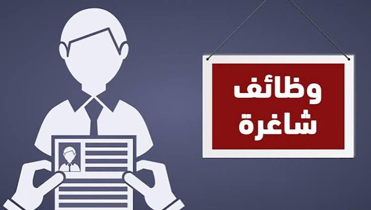 وظائف شاغرة بالمكاتب الثقافية المصرية بالخارج لعام 2013