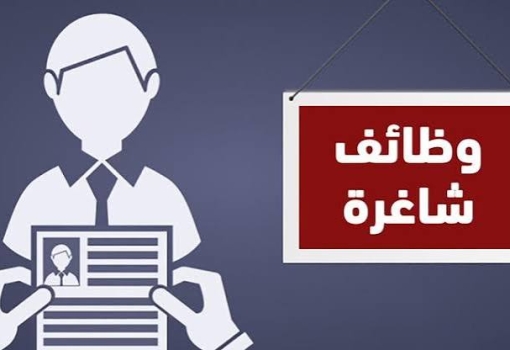 وظائف شاغرة بالمكاتب الثقافية المصرية بالخارج لعام 2013