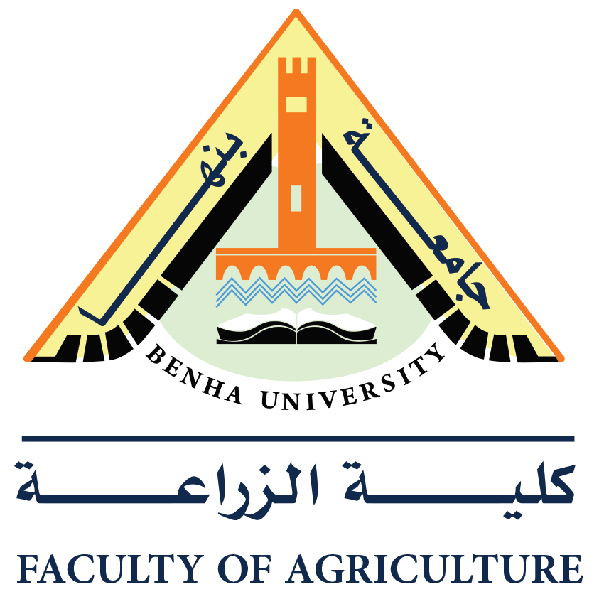طلب شراء
