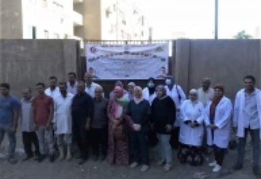 Benha University sends a veterinary convoy to Sendion Village in Qaluib