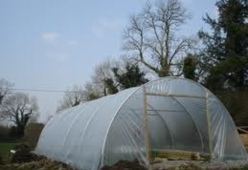 The Faculty establishes Greenhouses