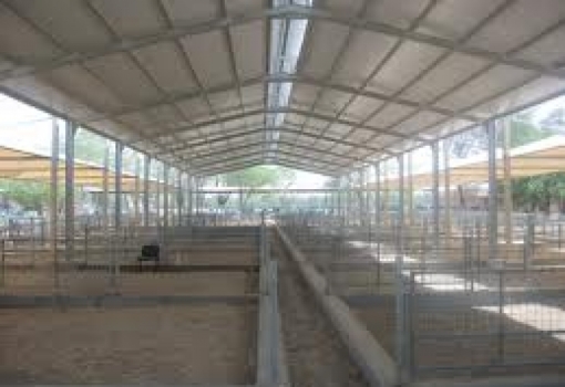 Improving the Animal farms