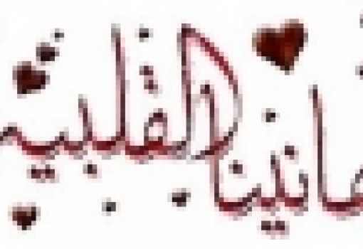 Faculty of Agriculture Congratulates Mr. Mohammad Ahmed Mohammad Basyouny