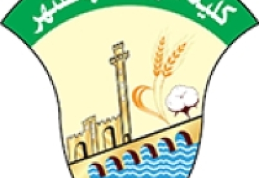 طلب شراء