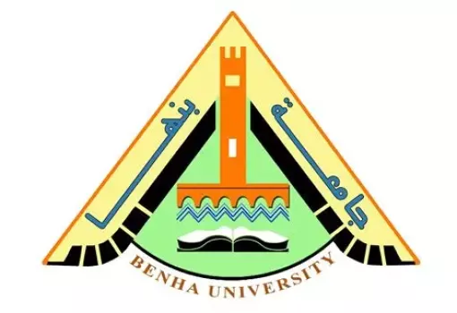 رئيس جامعة بنها يشهد ختام فعاليات البطولة الثانية للروبوتات ويكرم الفائزين