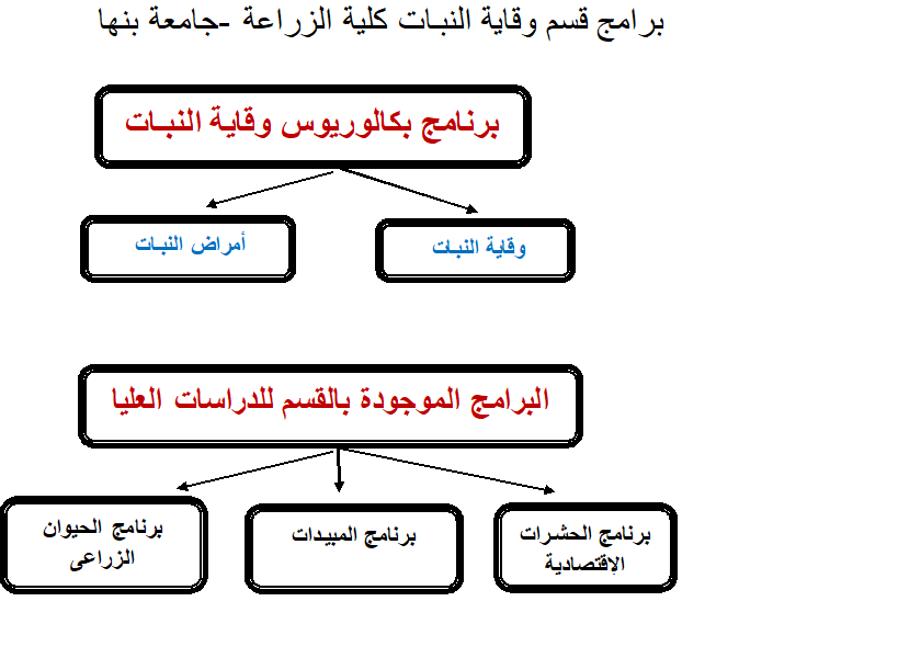 برامج الوقاية