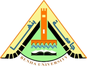 ورشـــــة عمــــل " نخيل البلح التحديات – الطموحات "