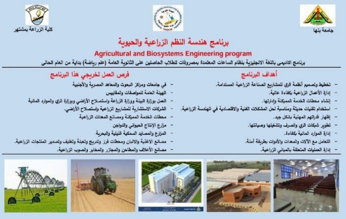 لائحه_القسم.png