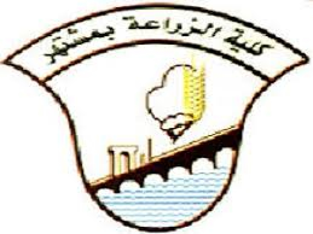 اعلان عن شراء