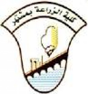 دورة ICDL