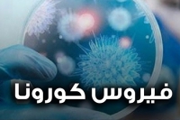 قاعدة بيانات لأبحاث فيروس كورونا المستجد covid-19